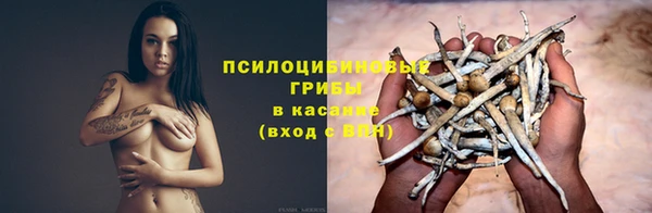 прущая мука Лиски