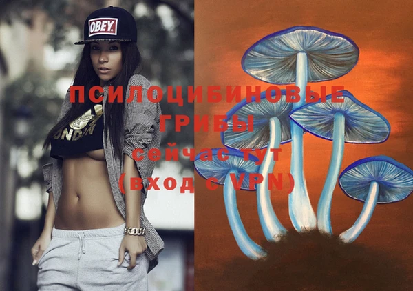 прущая мука Лиски