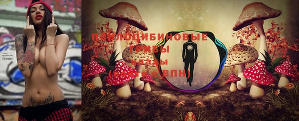 спиды Липки