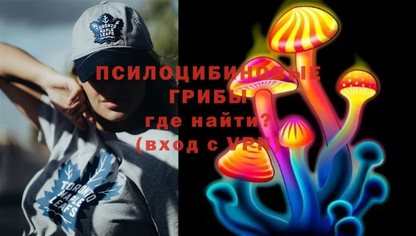 спиды Липки