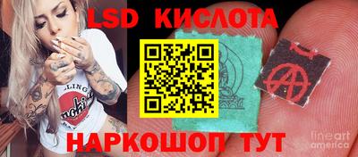 гидропоника Бузулук