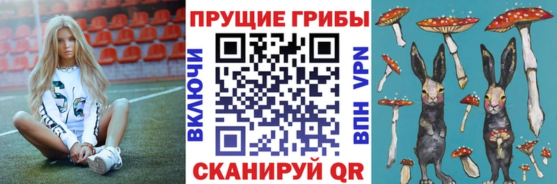 Псилоцибиновые грибы прущие грибы  наркотики  Муром 