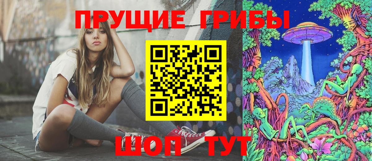 Псилоцибиновые грибы GOLDEN TEACHER  Муром  Галлюциногенные грибы Magic Shrooms 