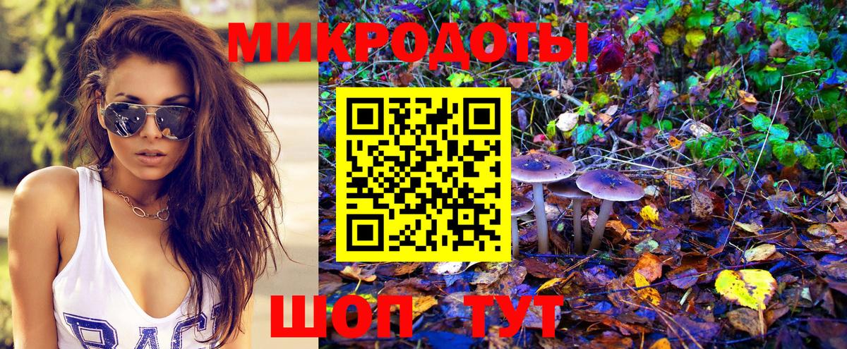 Галлюциногенные грибы Psilocybine cubensis Муром
